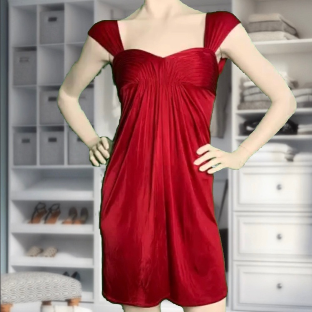 BCBGMAXAZRIA Burgundy Dress